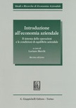 Introduzione all'economia aziendale. il sistema delle operazioni e le condizioni di equilibrio aziendale