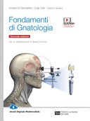 Fondamenti di gnatologia. per le scuole