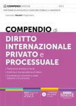 Compendio diritto internazionale 