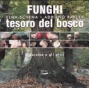 Funghi, tesoro del bosco. il porcino e gli altri